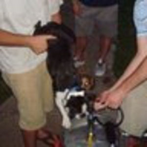 Meet your Posher, Brandon